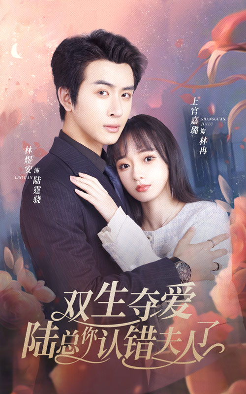 双生夺爱陆总你认错夫人了全集(大结局)