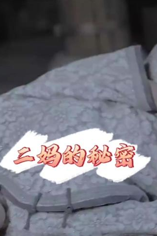 二妈的秘密全集(大结局)