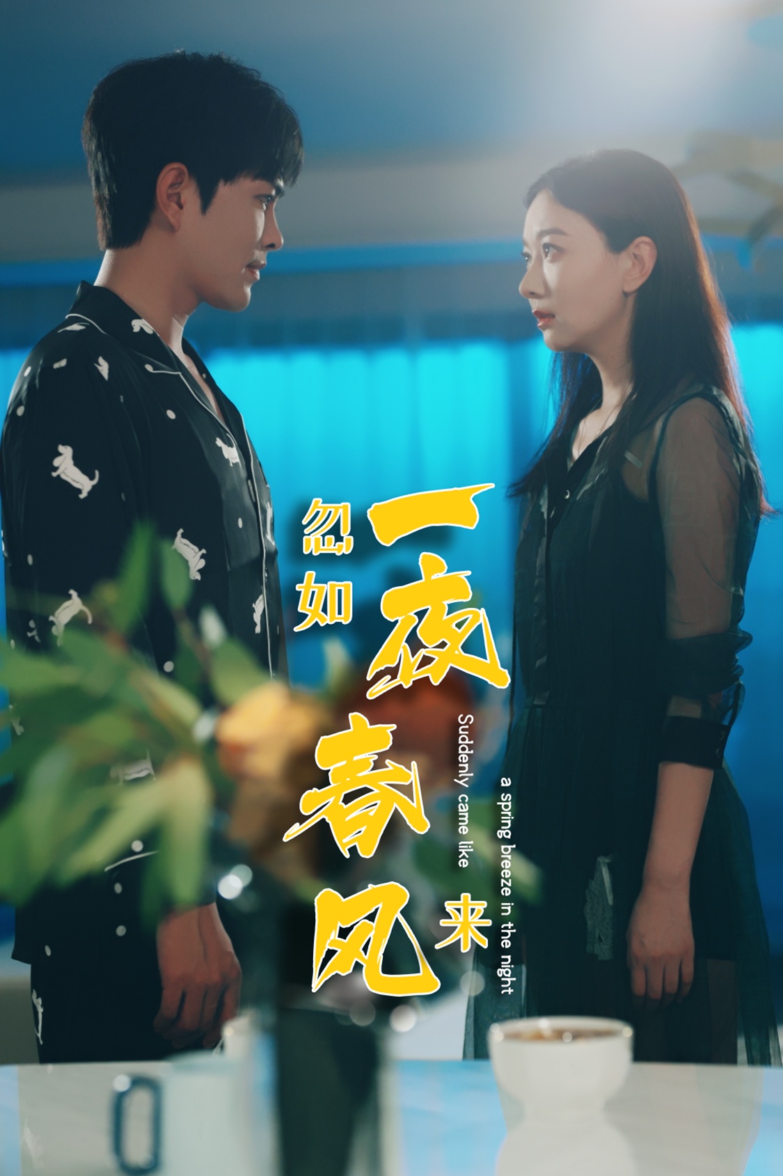 忽如一夜春风来全集(大结局)