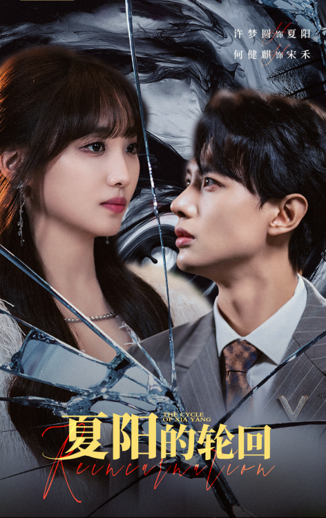 夏阳的轮回全集(大结局)
