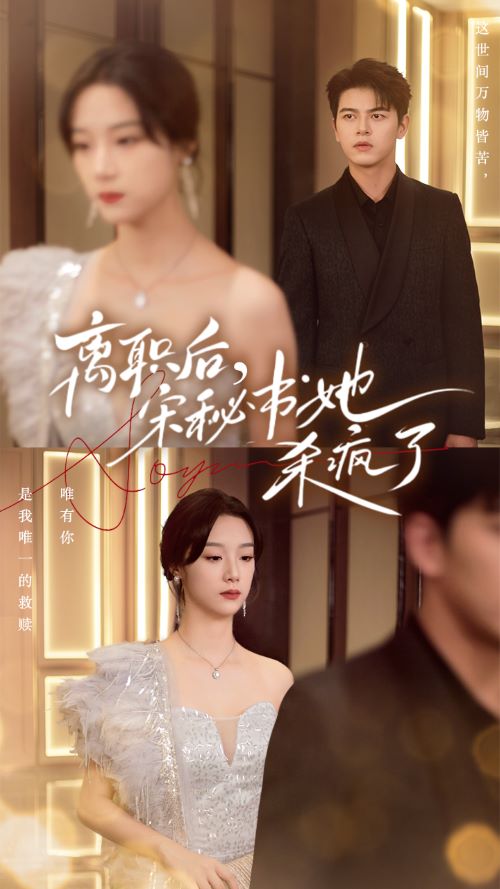 离职后，宋秘书她杀疯了全集(大结局)