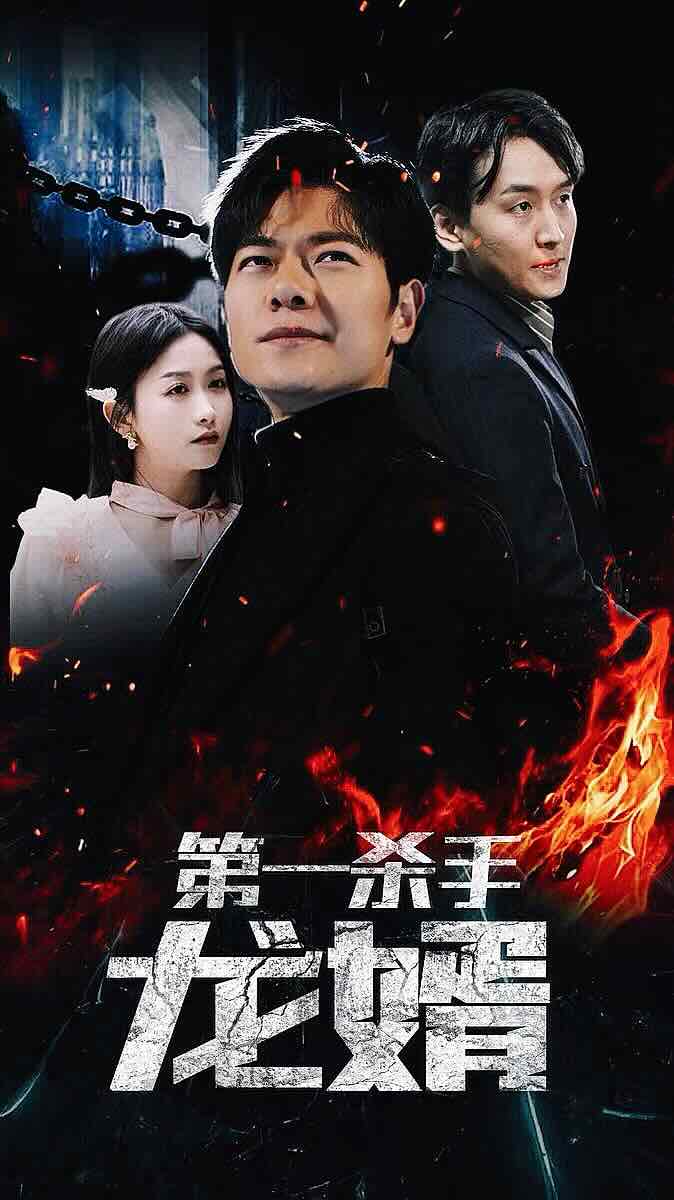 第一杀手龙婿全集(大结局)