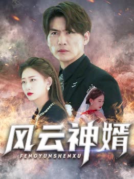 风云神婿全集(大结局)