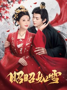 昭昭如雪全集(大结局)